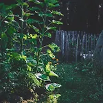 בית נופש Blickinsfreie - *