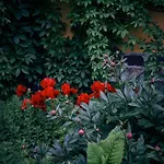 Blickinsfreie - *
