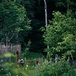 Blickinsfreie - * Schöneck