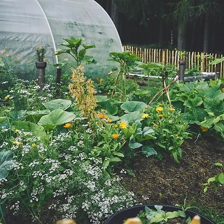 Blickinsfreie - Vakantiehuis Schöneck