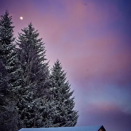 Vakantiehuis Blickinsfreie - Schöneck