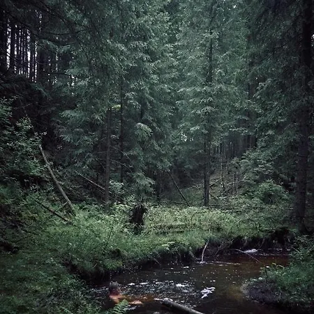 Blickinsfreie - Schöneck