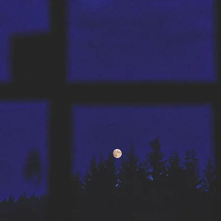 Blickinsfreie - Vakantiehuis *