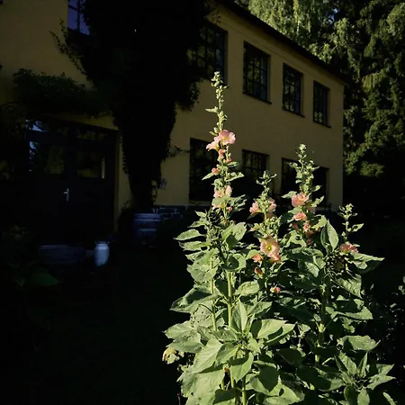 Blickinsfreie - * Schöneck