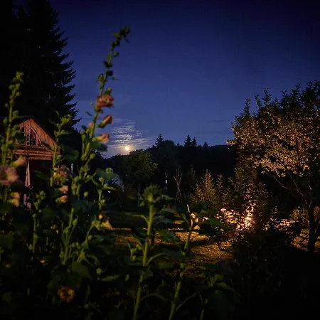 Vakantiehuis Blickinsfreie -