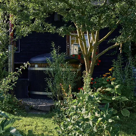 Tatil Evi Blickinsfreie - *