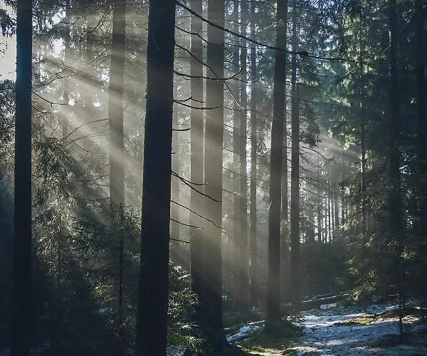 Casa de Férias Blickinsfreie - Schöneck