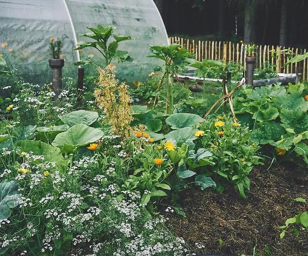 Blickinsfreie - Holiday home Schoeneck (Saxony)