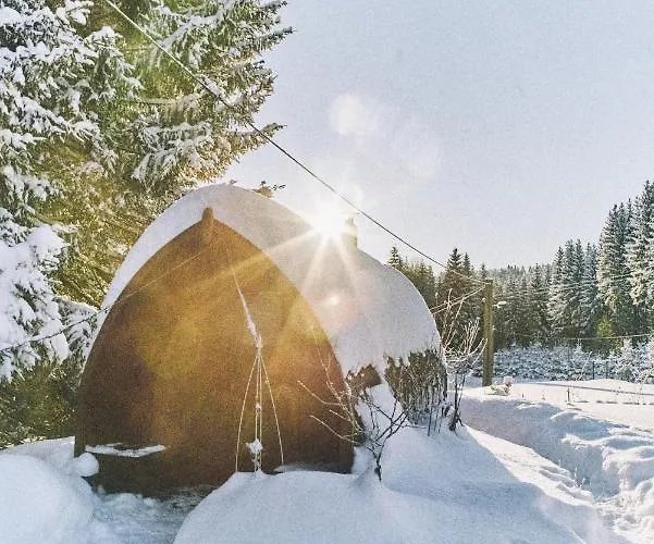 Holiday home Blickinsfreie - Schoeneck (Saxony)