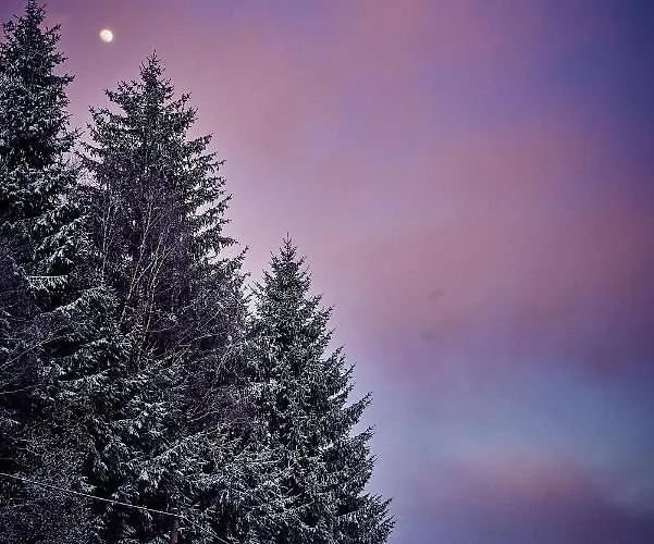 Holiday home Blickinsfreie - Schoeneck (Saxony)