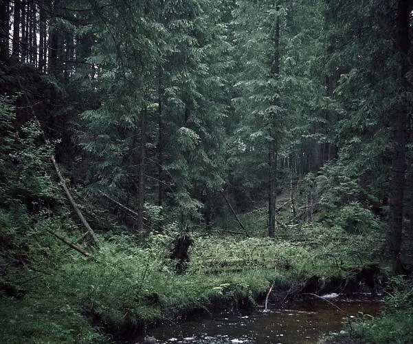 Blickinsfreie - Schöneck