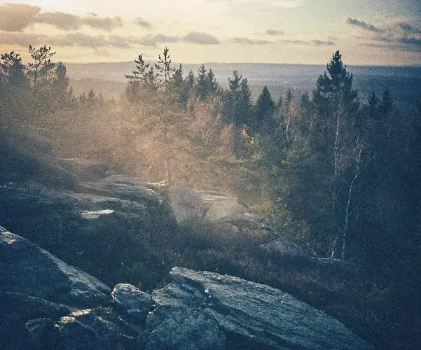 Blickinsfreie - Schoeneck (Saxony)