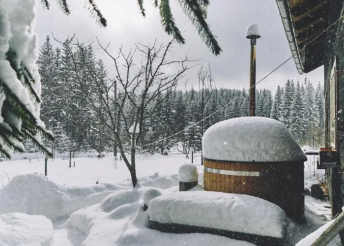 Blickinsfreie - * Schöneck