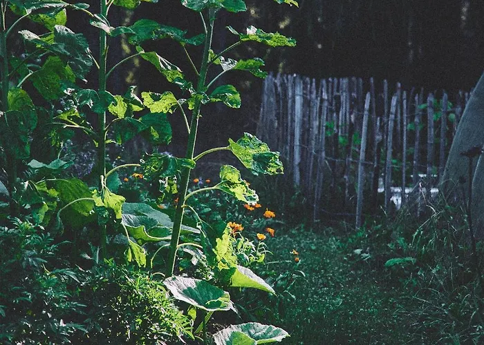 Casa de Férias Blickinsfreie - *