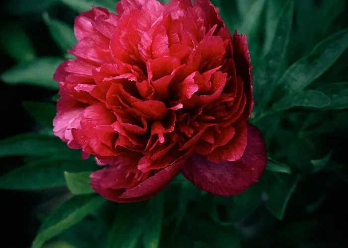 Blickinsfreie - Holiday home Schoeneck (Saxony)