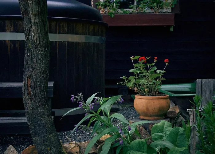 Blickinsfreie - * Schöneck