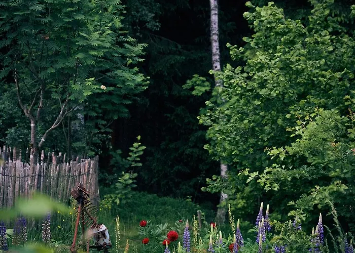 Blickinsfreie - * Schoeneck (Saxony)