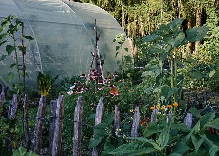 Blickinsfreie - Casa de Férias *