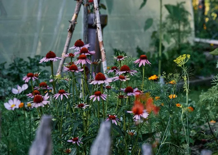 Holiday home Blickinsfreie - Schoeneck (Saxony)