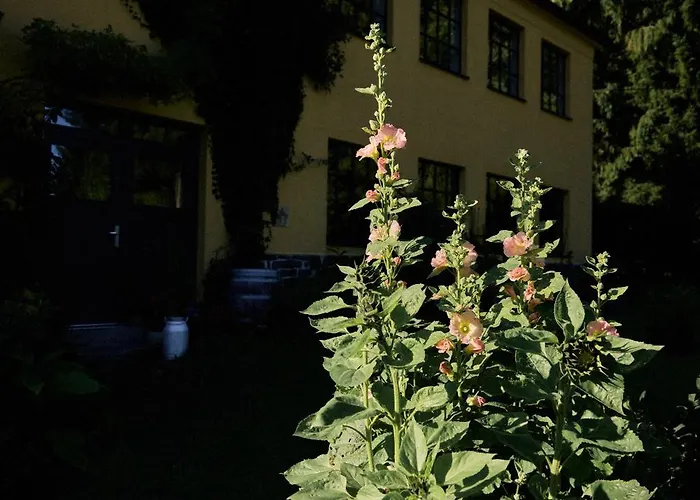 Blickinsfreie - * Schöneck